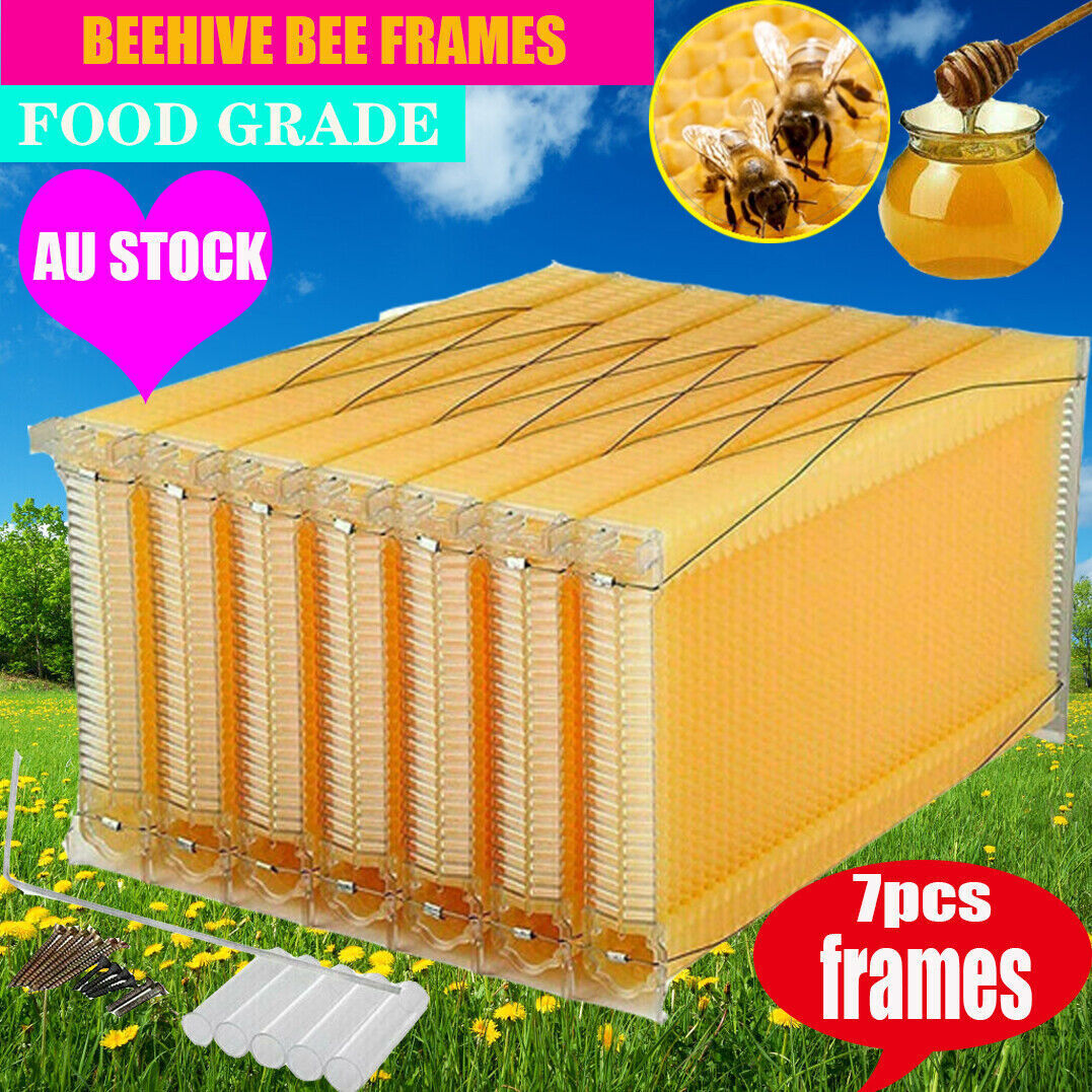 Direct Store