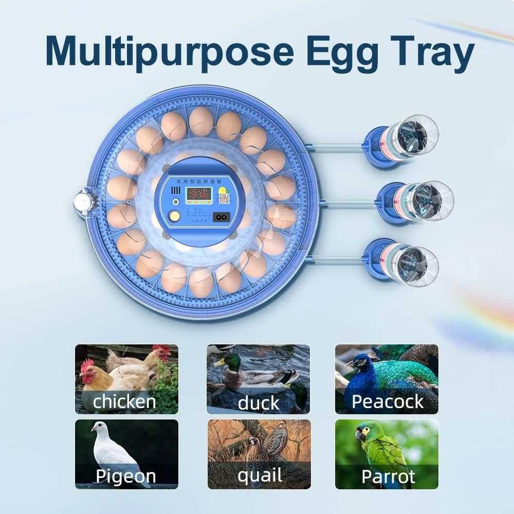 Direct Store